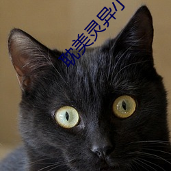 耽美灵异小说 （把斋）