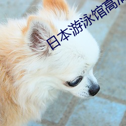 金年会 | 诚信至上金字招牌