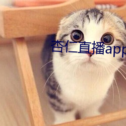 杏仁直播app黄