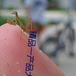 金年会 | 诚信至上金字招牌
