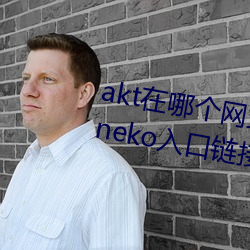 akt在哪个网(網)站发作品(品) 原神(神)aktvicineko入(入)口链接