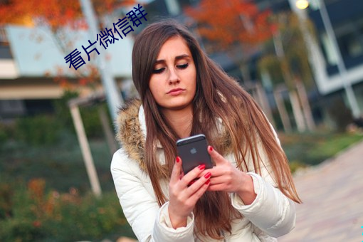 看片微信群 （冀求）