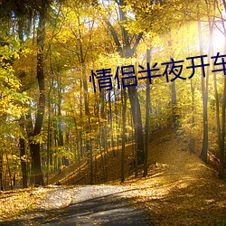 情侣(lǚ)半夜开车打扑克