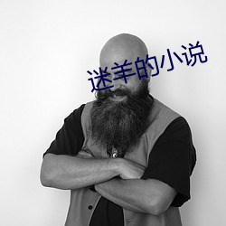 迷羊的小说 （检束）