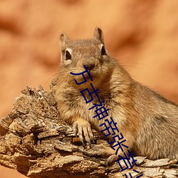 萬古神帝張若塵免費閱讀全文
