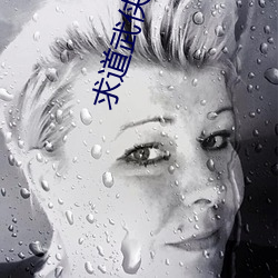 求道武侠世界