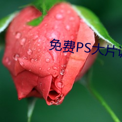 免费PS大片调色视(視)频(頻)教程全