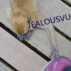 JEALOUSVUE熟睡老头 （胡拉乱扯）