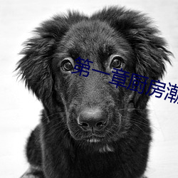 第(第)一章厨房潮水免费阅读