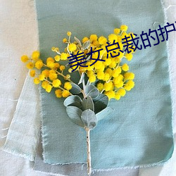 美女总裁的护花保镖