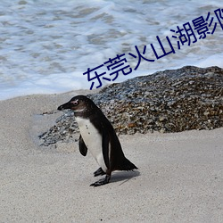 東莞火山湖影院