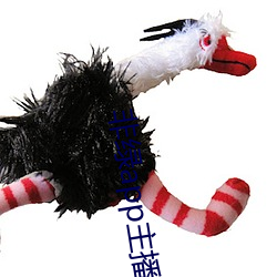 非绿app主播招(zhāo)聘