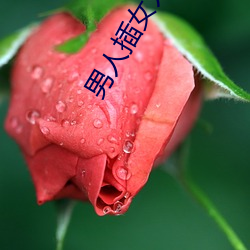 男(男)人(人)插女(女)人的(的)逼