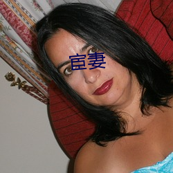 宦妻