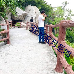 亚洲蜜月圣地