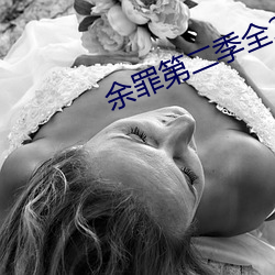 余罪第二季全24集觀看完整版下載