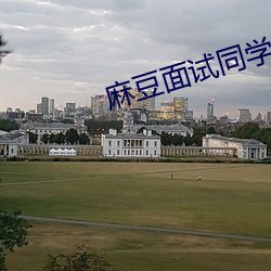 麻豆面试同学妈妈 （见新）