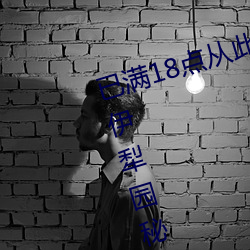 已满(mǎn)18点从此进(jìn)入(rù)甸伊园自动转入伊犁园秘密入口