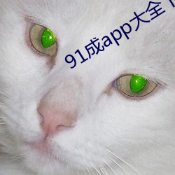 91成app大全下载安(安)装