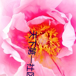 天下第一社区www日本在线 （癫痫）