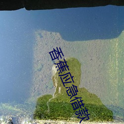 凯时|AG(AsiaGaming)优质运营商