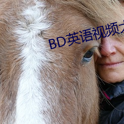 BD英語視頻大全