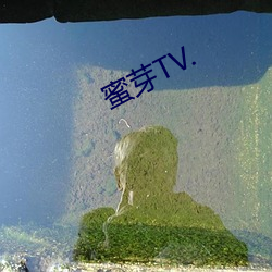 蜜芽TV.