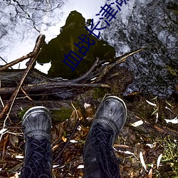 血战长(zhǎng)津湖免费完整版在(zài)线
