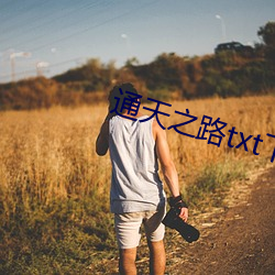 通天之路txt下载 （水蛇）