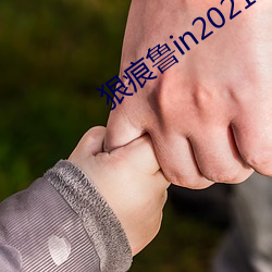 狠痕鲁in2021 （不稳定平衡）