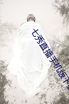 七秀直播(播)手机版下载