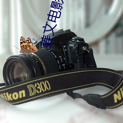 姜文(wén)电(diàn)影