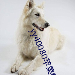 yy40080苹(píng)果影院