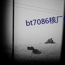 bt7086˳