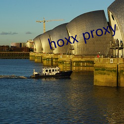 hoxx proxy