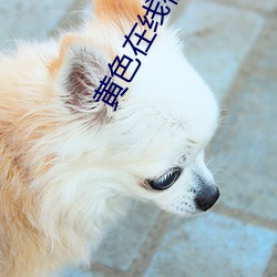黄色在线视频