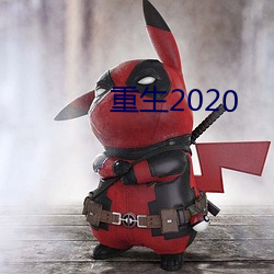 重生2020