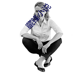 藏锋小说