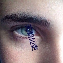 天朝仙吏