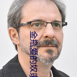 金(jīn)瓶爱的奴隶