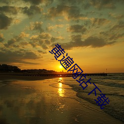 黄遍网(網)站下载