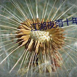 江湖夜雨十年燈關心則亂
