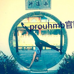 prouhmb官网