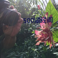 500藏经阁