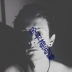 金平梅阅读