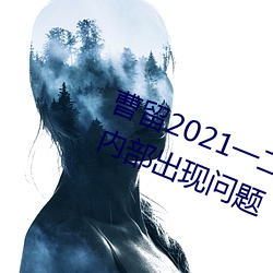 曹留2021一二三四五六三社區疑似內部出現問題