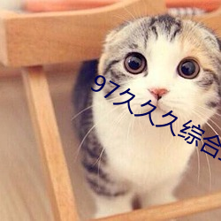 97久久久综合亚洲色HEZYO （腊味）