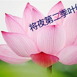 将夜第二季叶(yè)红鱼
