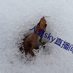 人(人)皇sky直播(播)间(間)