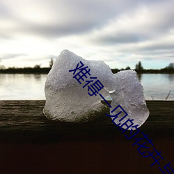 难得一见的花卉与名称